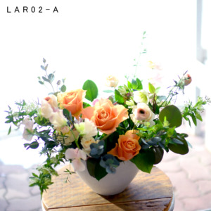 LAR02