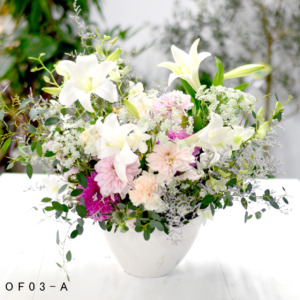 OAR03